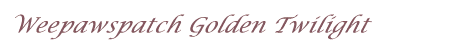 Pedigree of Weepawspatch Golden Twilight