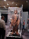 Full sized Chewbacca.
