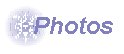 View Photographs from Various Trips and Activities