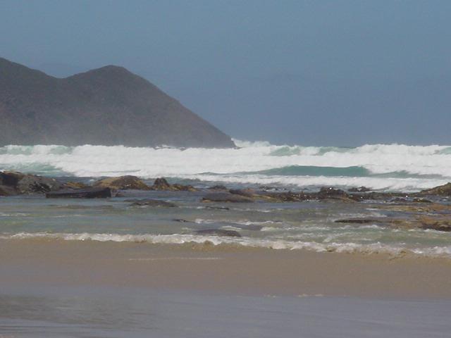 Coast of Tasmania