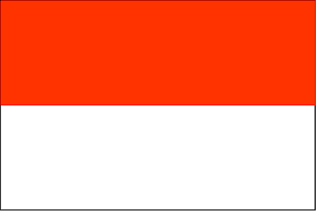Vlag van Indonesi�