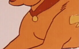 Streaky's Collar
