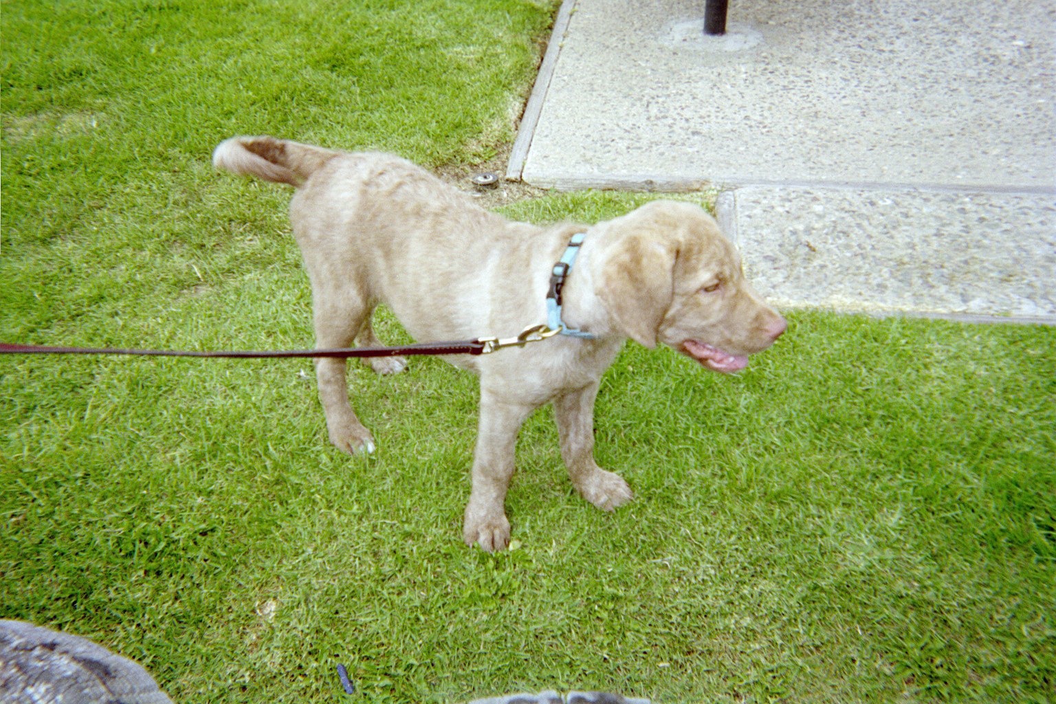 Ain't Humbuger Sooo Cute!