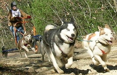 Klark running lead with Apple.