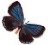 http://www.geocities.com/krystalpaps/bflybutton.jpg (1603 bytes)