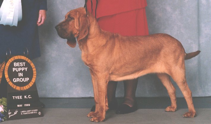 Put Picture of Animal Here