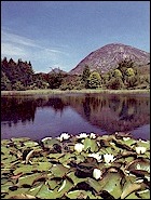 The mournes
