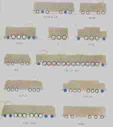 A quick identification guide