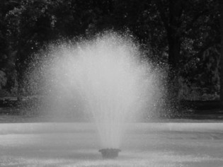Biltmore fountain
