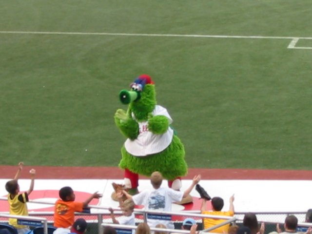Photograph