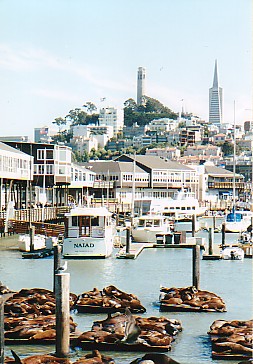 Resident seals