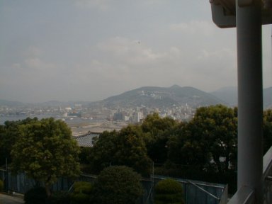 view