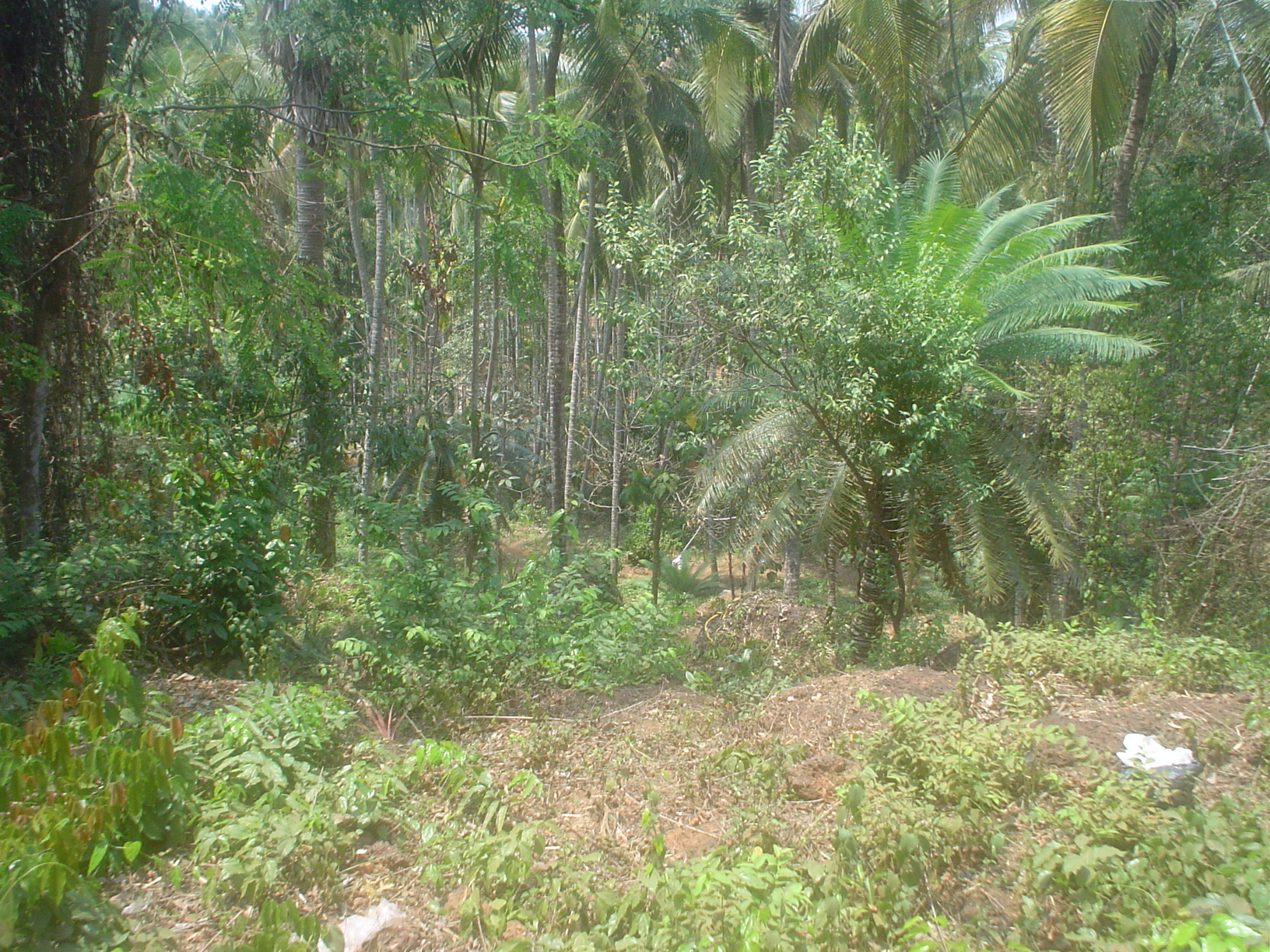 Please Visit Our Blog ......Welcome to Poocholamad Paara Puram