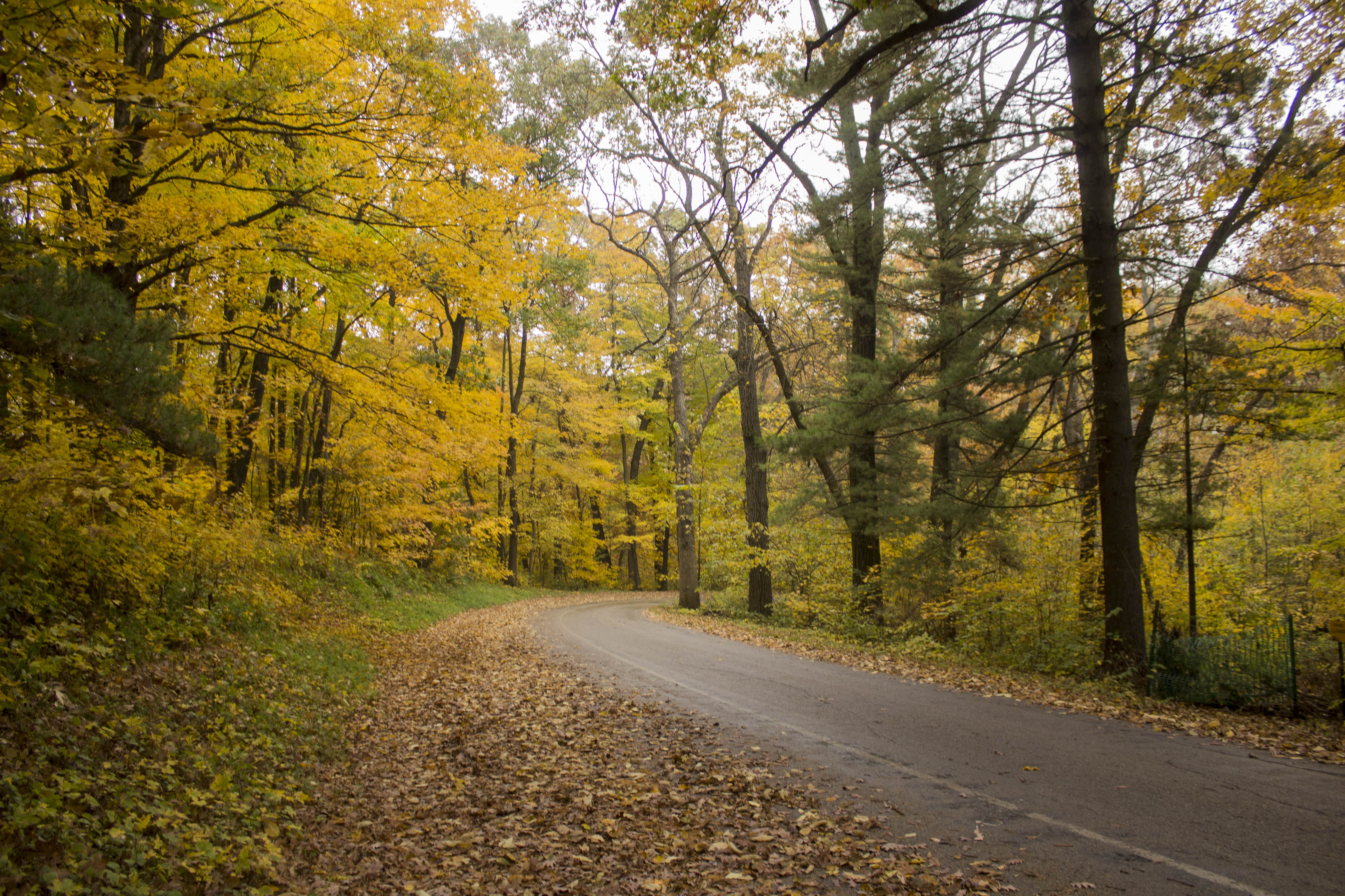 Devils Lake State Park