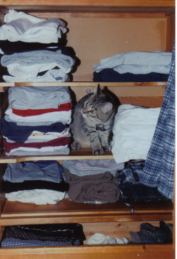 Penny peeking out of Kyle's dresser (now the baby's dresser!). This time we caught him before we shut the door!