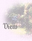 VIew My Guestbook