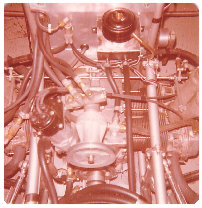 mighty_midgets_speedway_racing150.jpg