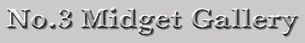 no3_midget_car.jpg