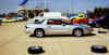 Shelby.jpg (13715 bytes)