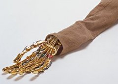 Anakin Skywalker's bionic hand