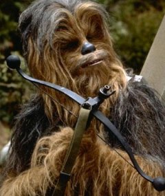 Chewbacca took his bowcaster with him when he left Kashyyyk