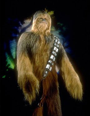 Chewbacca the Wookiee