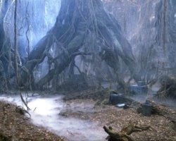 The site where Luke Skywalker set up camp during his Jedi training