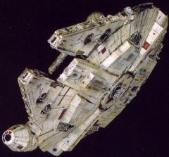 A dorsal view of the Falcon