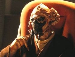 Plo Koon on the Jedi Council