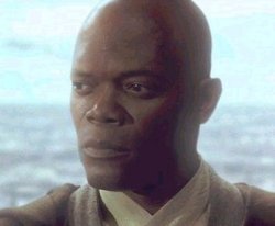 Mace Windu on the Jedi Council