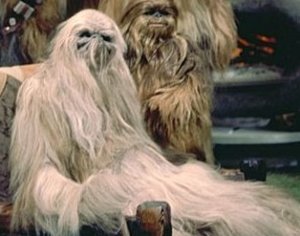 Two Wookiees rest on Kashyyyk