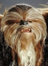 The Wookiee senator Yarua