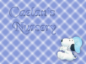 Completed Nursery