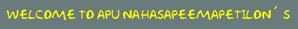 Welcome to Apu Nahasapeemapetilon�s