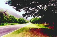 vista de la ruta provincial n�4