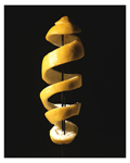 Fine Art Gallery