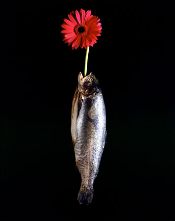 Fish Vase