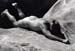 Male Nude #13