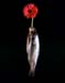 Fish Vase