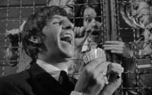 Ringo playing cards in the song I Should Have Known Better in the movie, A Hard Day's Night 1964.