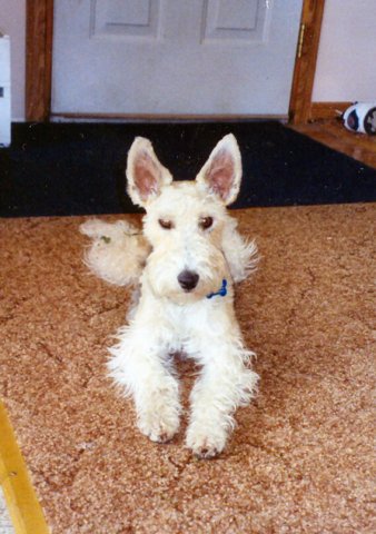 Photograph