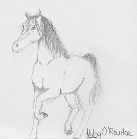 Drawen by, Abby O'Rourke