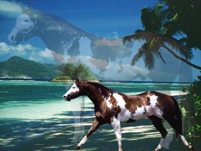 The Paint Horse