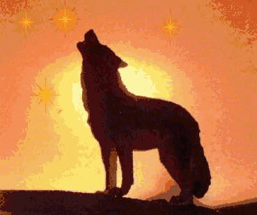 Visit My Spirit Page
