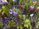 foreign flowers