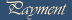 Payment
