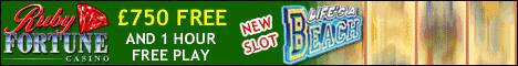 Online Casino Online Casino