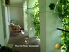 The 1st Floor Verandah, Cottage for vacation rental, Ukraine, Sevastopol,  Crimea, Black sea. 