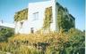 Cottage for vacation rental, Ukraine, Sevastopol, Peninsula Crimea, Black sea, seaside, beach. 
