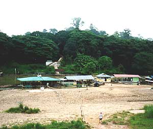 taman14.jpg (13325 bytes)
